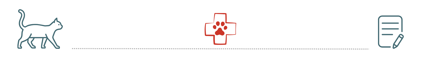 Preventive Care and Pet Insurance Planning preventive care planning with pet insurance at Capital Pets Animal Hospital Sacramento CA