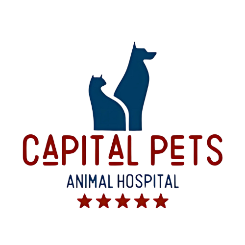 Capital Pets Animal Hospital